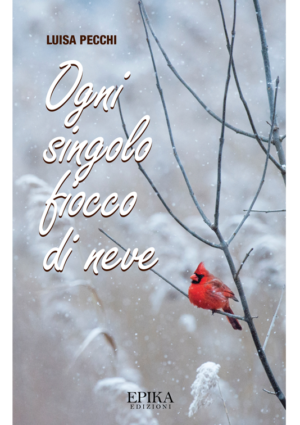 Ogni singolo fiocco di neve